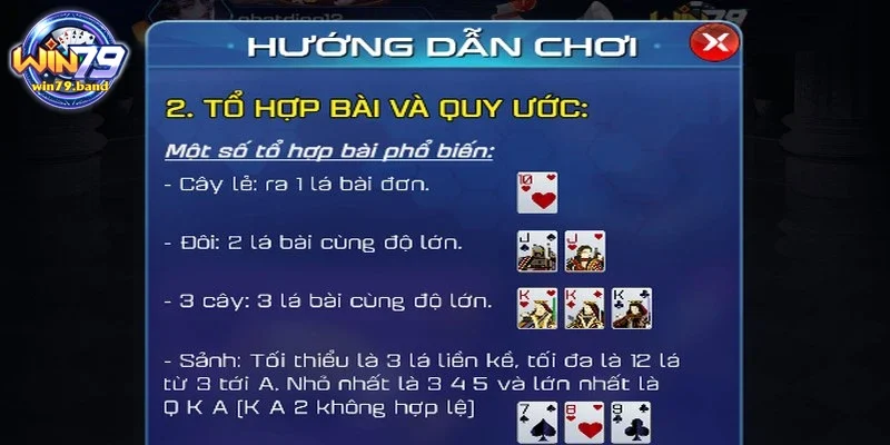 Những thuật ngữ xuất hiện trong tiến lên đếm lá